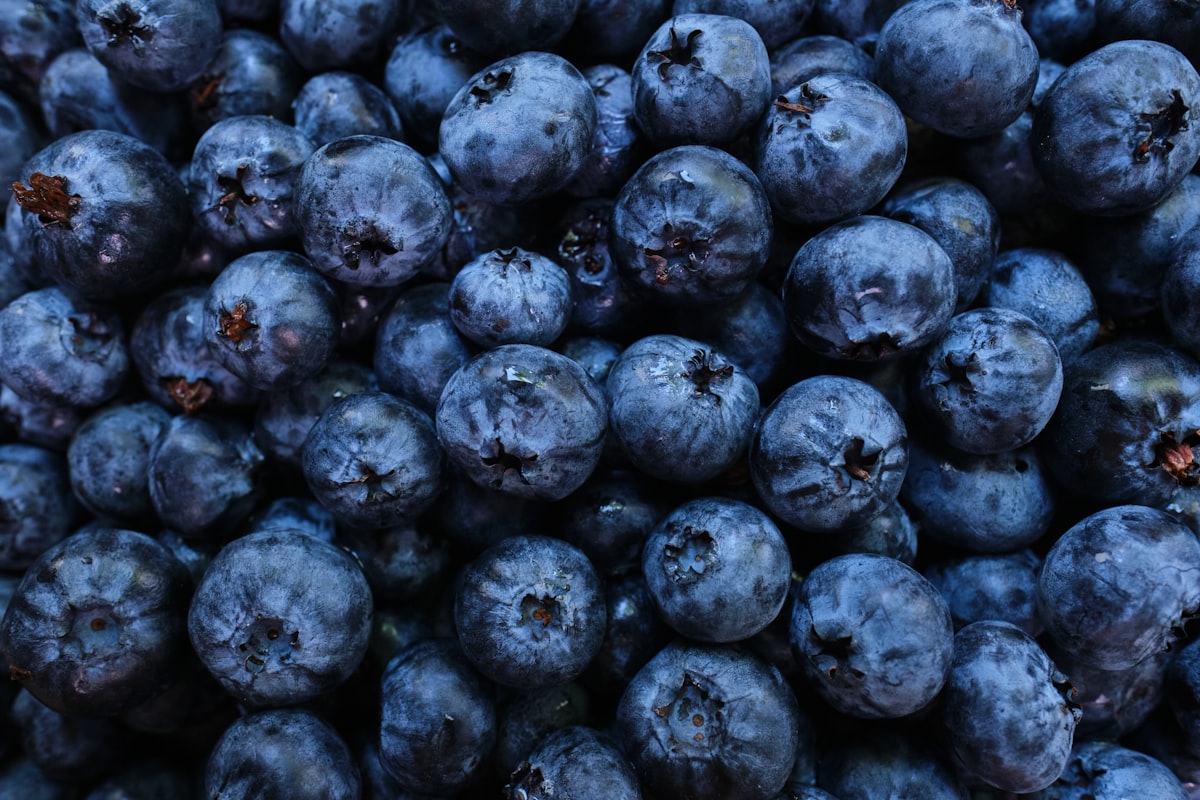Community discussion about nutrition and eye health